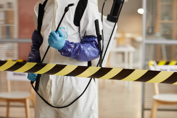 Professional Trauma Scene Cleanup technician working in Big Bear Lake, CA