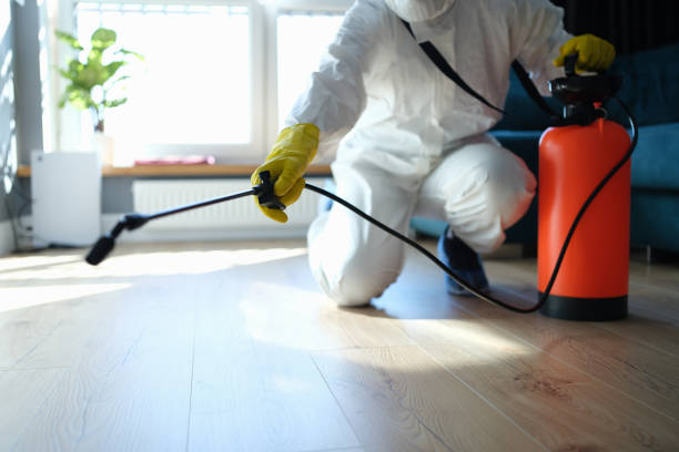 Trusted Trauma Scene Cleanup service in Big Bear Lake, CA - Four Month Blood Cleanse
